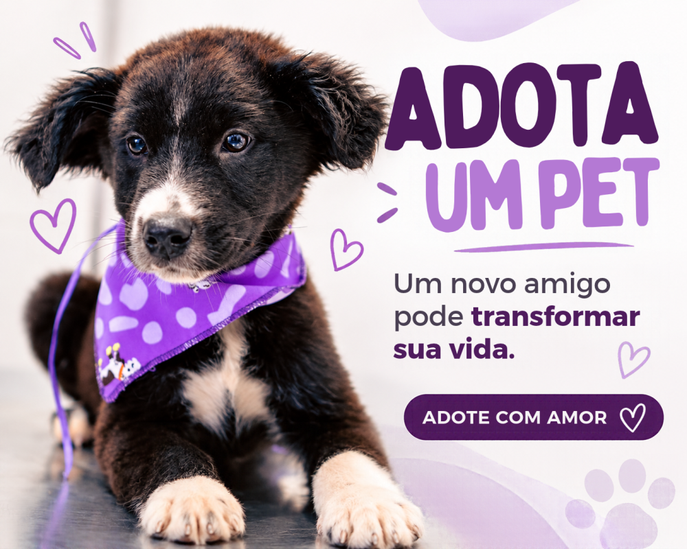 Abra seu coração e sua casa para um novo melhor amigo!