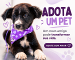 Abra seu coração e sua casa para um novo melhor amigo!
